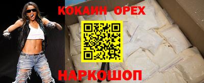 крисы Аргун