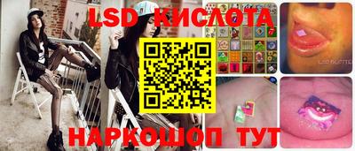 крисы Аргун