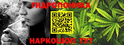 крисы Аргун