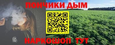 крисы Аргун