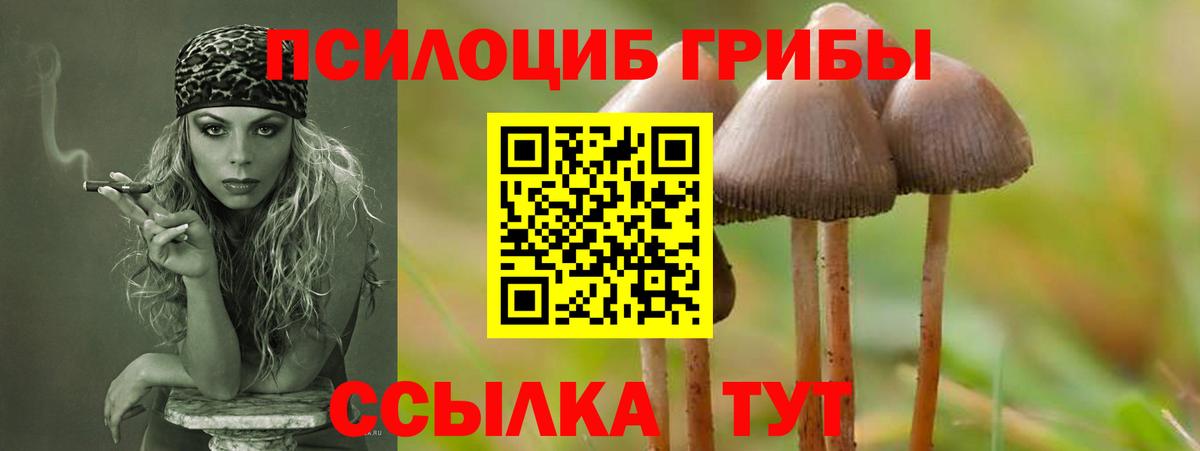 Галлюциногенные грибы Cubensis Артём